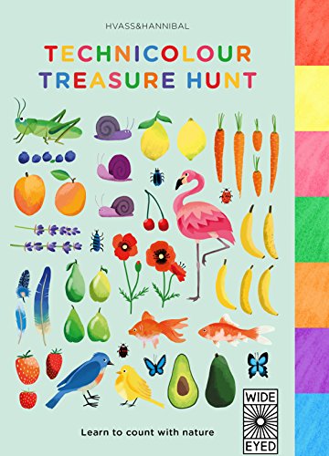 Imagen de archivo de Technicolour Treasure Hunt: Learn to count with nature a la venta por AwesomeBooks