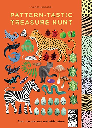 Imagen de archivo de Pattern-Tastic Treasure Hunt : Spot the Odd One Out with Nature a la venta por Better World Books