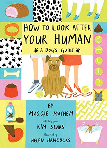 Beispielbild fr How to Look After Your Human: A Dog's Guide zum Verkauf von SecondSale