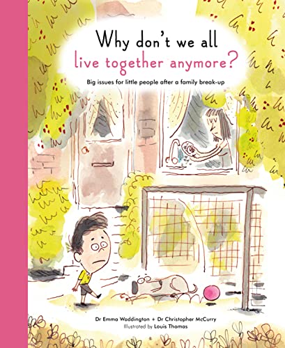 Beispielbild fr The Life and Soul Library: Why Don't We All Live Together Anymore?: Big issues for little people after a family break-up zum Verkauf von WorldofBooks