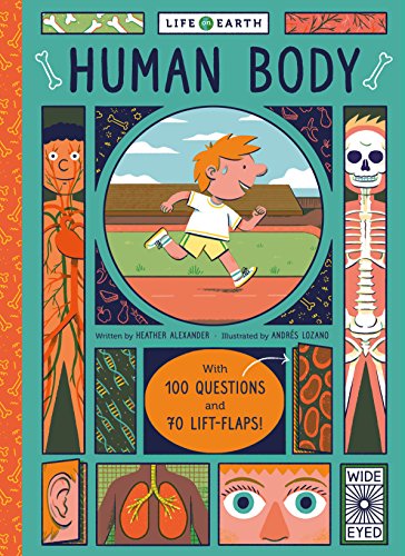 Stock image for Life on Earth: Human Body: 1 for sale by AwesomeBooks