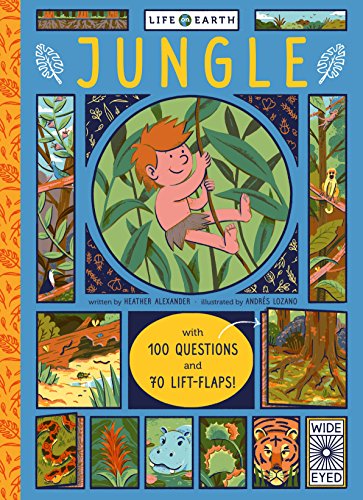 Stock image for Life on Earth: Jungle: With 100 Questions and 70 Lift-flaps! for sale by AwesomeBooks