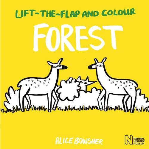 Beispielbild fr Lift-the-flap and Colour Forest zum Verkauf von WorldofBooks