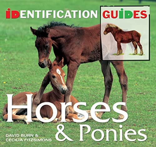 Horses & Ponies: Identification Guide (Identification Guides) (9781847861856) by Burn, David;Fitzsimons, Cecilia