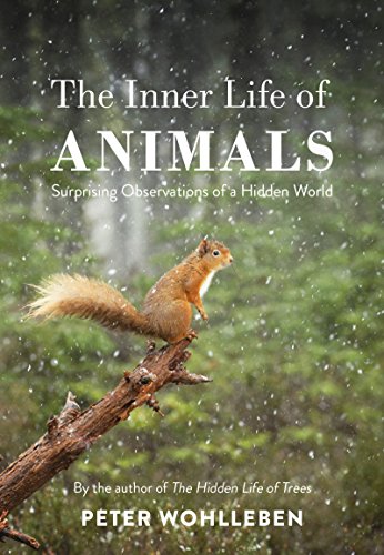 Beispielbild fr The Inner Life of Animals: Surprising Observations of a Hidden World zum Verkauf von WorldofBooks