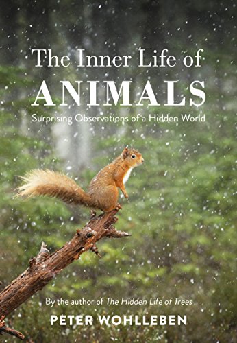 Imagen de archivo de INNER LIFE OF ANIMALS, THE a la venta por Books From California
