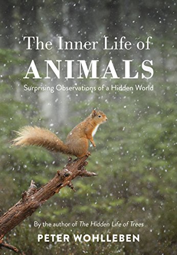 9781847924551: The Inner Life of Animals: Surprising Observations of a Hidden World