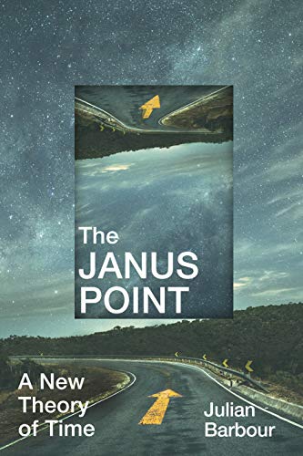 Imagen de archivo de The Janus Point: A New Theory of Time a la venta por AwesomeBooks