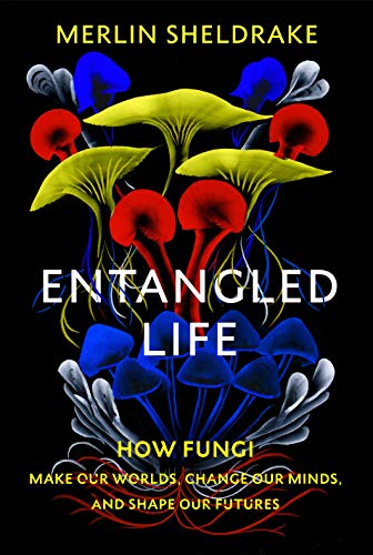 9781847925206: Entangled Life: How Fungi Make Our Worlds, Change Our Minds and Shape Our Futures