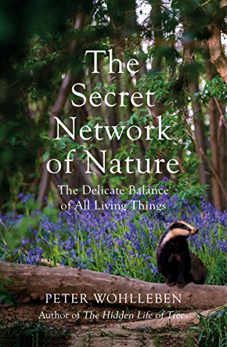 9781847925244: The Secret Network of Nature: The Delicate Balance of All Living Things