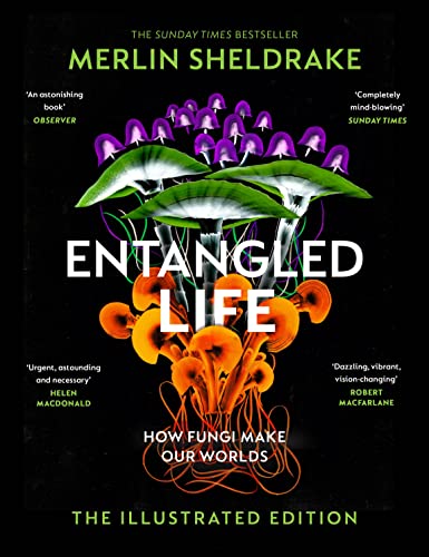 Stock image for Entangled Life: How Fungi Make Our Worlds, Change Our Minds and Shape Our Futures - The Illustrated Edition for sale by Kennys Bookshop and Art Galleries Ltd.