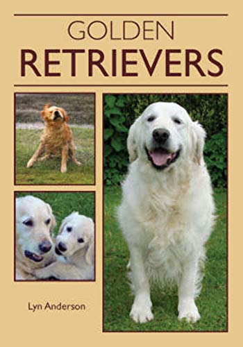 9781847970251: Golden Retrievers