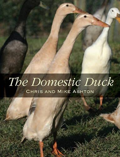 Beispielbild fr The Domestic Duck zum Verkauf von HPB Inc.