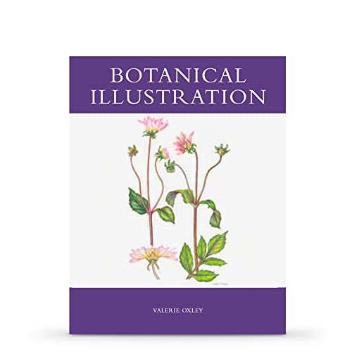 Stock image for Botanical Illustration for sale by WorldofBooks