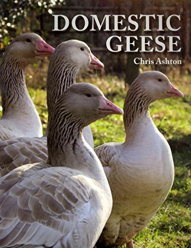 Stock image for Domestic Geese for sale by AwesomeBooks