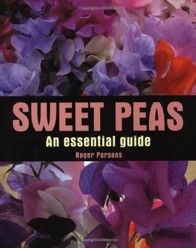 9781847972507: Sweet Peas: An Essential Guide