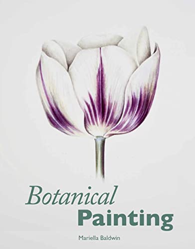 Beispielbild fr Botanical Painting zum Verkauf von WorldofBooks