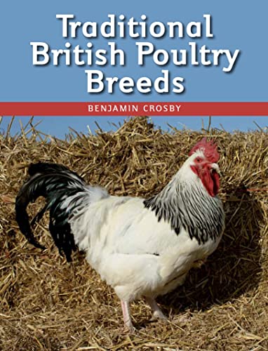 Stock image for Traditional British Poultry Breeds for sale by Books From California