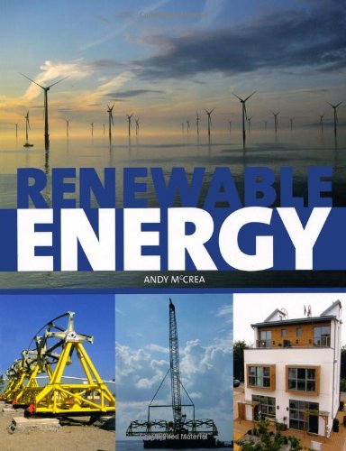 9781847974792: Renewable Energy: A User's Guide