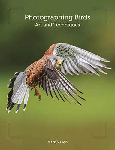 Stock image for Photographing Birds: Art and Techniques for sale by WorldofBooks