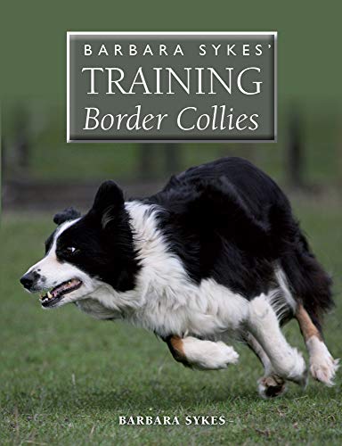 9781847978899: Barbara Sykes' Training Border Collies