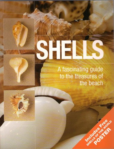 9781848040076: Shells - A Fascinating Guide to The Treasures of the Beach (Includes Free Shells of the World Poster)