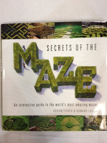9781848040168: Secrets of the Maze