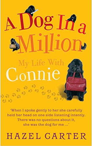 Beispielbild fr A Dog in a Million: My Life with Connie zum Verkauf von WorldofBooks