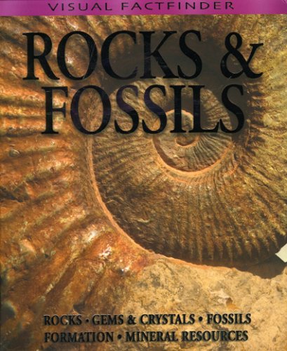 9781848100800: Rocks & Fossils (Visual Factfinder)