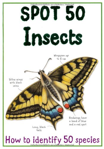 Imagen de archivo de Spot 50 Insects a la venta por AwesomeBooks