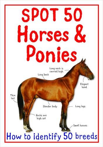 Imagen de archivo de Spot 50 Horses and Ponies (Spot 50's) a la venta por AwesomeBooks