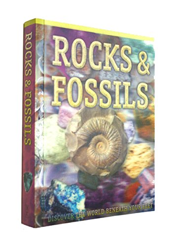 Beispielbild fr Rocks and Fossils zum Verkauf von More Than Words