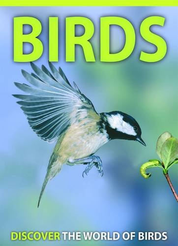Stock image for Birds for sale by WorldofBooks