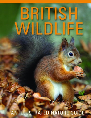 Beispielbild fr British Wildlife zum Verkauf von AwesomeBooks
