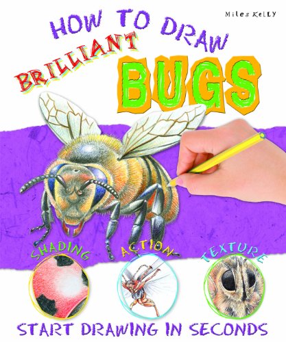 Beispielbild fr Brilliant Bugs (How To Draw) zum Verkauf von Wonder Book