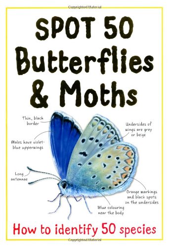 Stock image for Spot 50 Butterflies and Moths (Large Spot 50 Series) for sale by WorldofBooks