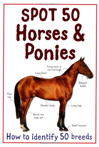 9781848106024: Spot 50 Horses & Ponies