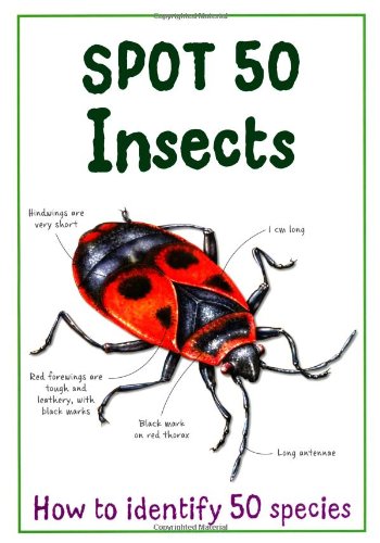 Stock image for Spot 50 Insects. Camilla de La Bedoyere for sale by Austin Goodwill 1101