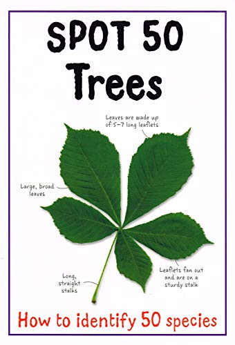 Stock image for Spot 50 Trees for sale by Better World Books Ltd