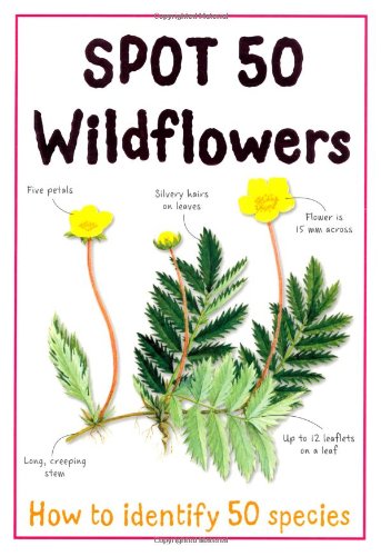 Beispielbild fr Spot 50 Wildflowers (Large Spot 50 Series) zum Verkauf von WorldofBooks