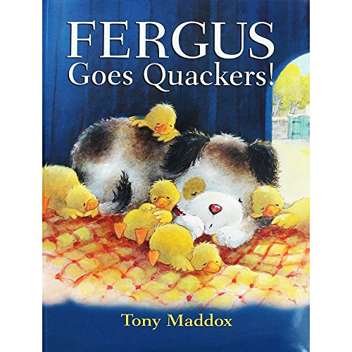 Beispielbild fr Fergus Goes Quackers zum Verkauf von WorldofBooks