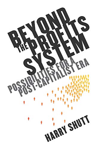 Imagen de archivo de Beyond the Profits System: Possibilities for a Post-Capitalist Era (The New Economics) a la venta por Midtown Scholar Bookstore