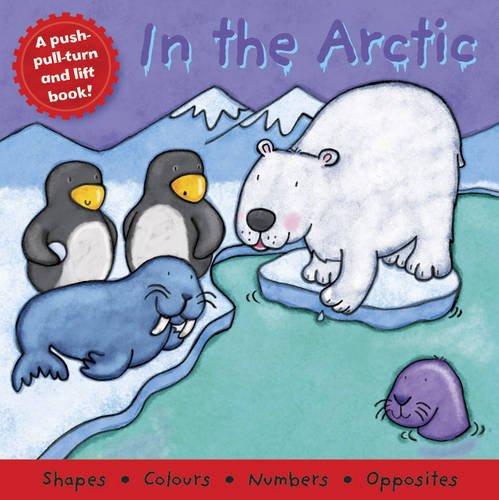 9781848172999: In the Arctic (Board Book Deluxe 2)