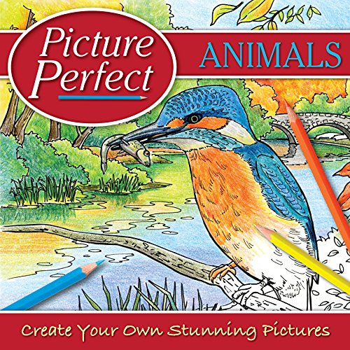 Imagen de archivo de Adult Colouring - Animals: Create Your Own Stunning Pictures (Stencil Flash Cards) a la venta por Bahamut Media