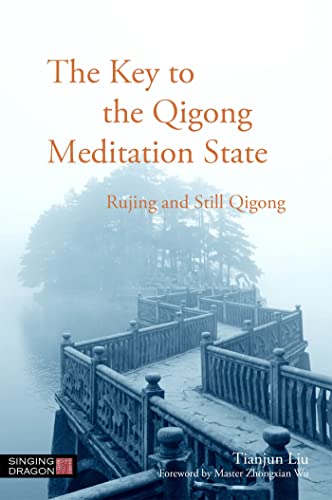9781848192324: The Key to the Qigong Meditation State: Rujing and Still Qigong