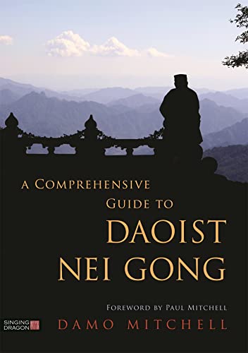 Imagen de archivo de A Comprehensive Guide to Daoist Nei Gong a la venta por GF Books, Inc.