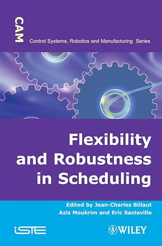 9781848210547: Flexibility and Robustness in Scheduling (Control Systems, Robotics and Manufacturing)