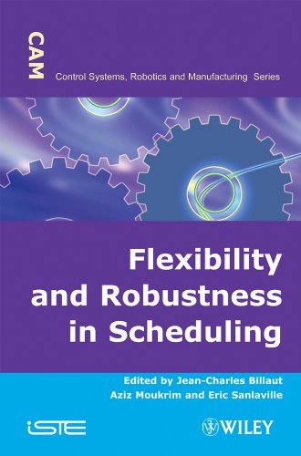 Stock image for Flexibility and Robustness in Scheduling for sale by Campus Bookstore