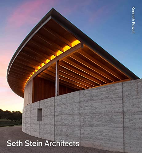 9781848222397: Seth Stein Architects