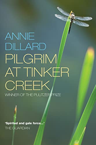 9781848250789: Pilgrim at Tinker Creek